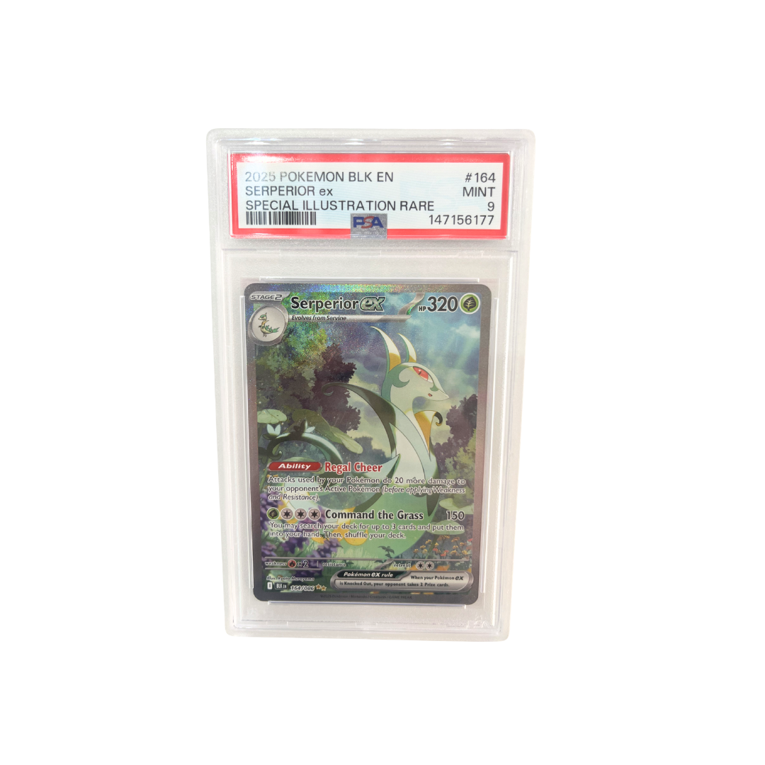 SERPERIOR EX - BLK - #164 (EN)